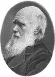 medium_Darwin.2.jpg