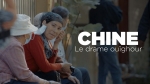 chine,ouïghour,xinjiang,génocide culturel,arte,françois reinhardt,pékin,xi jinping